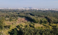 Warszawa. Jest śledztwo ws. budowy w otulinie rezerwatu Łosiowe Błota