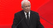 Jarosław Kaczyński "odkurzył" swoje ulubione określenie. Uderzył nim w Agnieszkę Holland