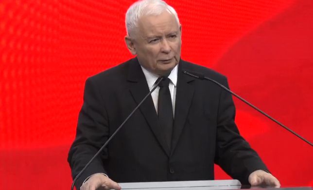 Jarosław Kaczyński "odkurzył" swoje ulubione określenie. Uderzył nim w Agnieszkę Holland