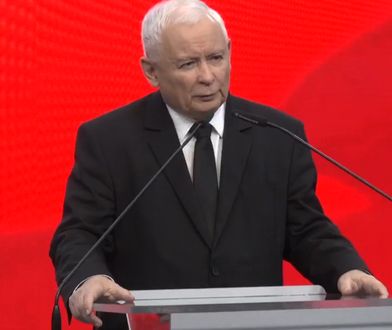 Jarosław Kaczyński "odkurzył" swoje ulubione określenie. Uderzył nim w Agnieszkę Holland