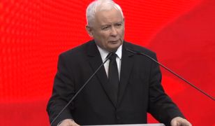 Jarosław Kaczyński "odkurzył" swoje ulubione określenie. Uderzył nim w Agnieszkę Holland