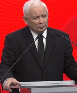 Jarosław Kaczyński "odkurzył" swoje ulubione określenie. Uderzył nim w Agnieszkę Holland