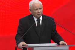 Jarosław Kaczyński "odkurzył" swoje ulubione określenie. Uderzył nim w Agnieszkę Holland