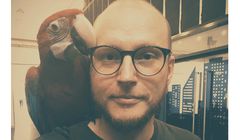 Tomasz Milewski: z Grey Group Poland do Bridge2Fun