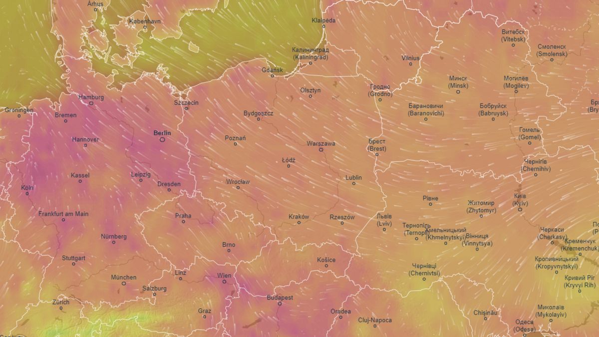 Pogoda. Przyszły tydzień będzie bardzo gorący