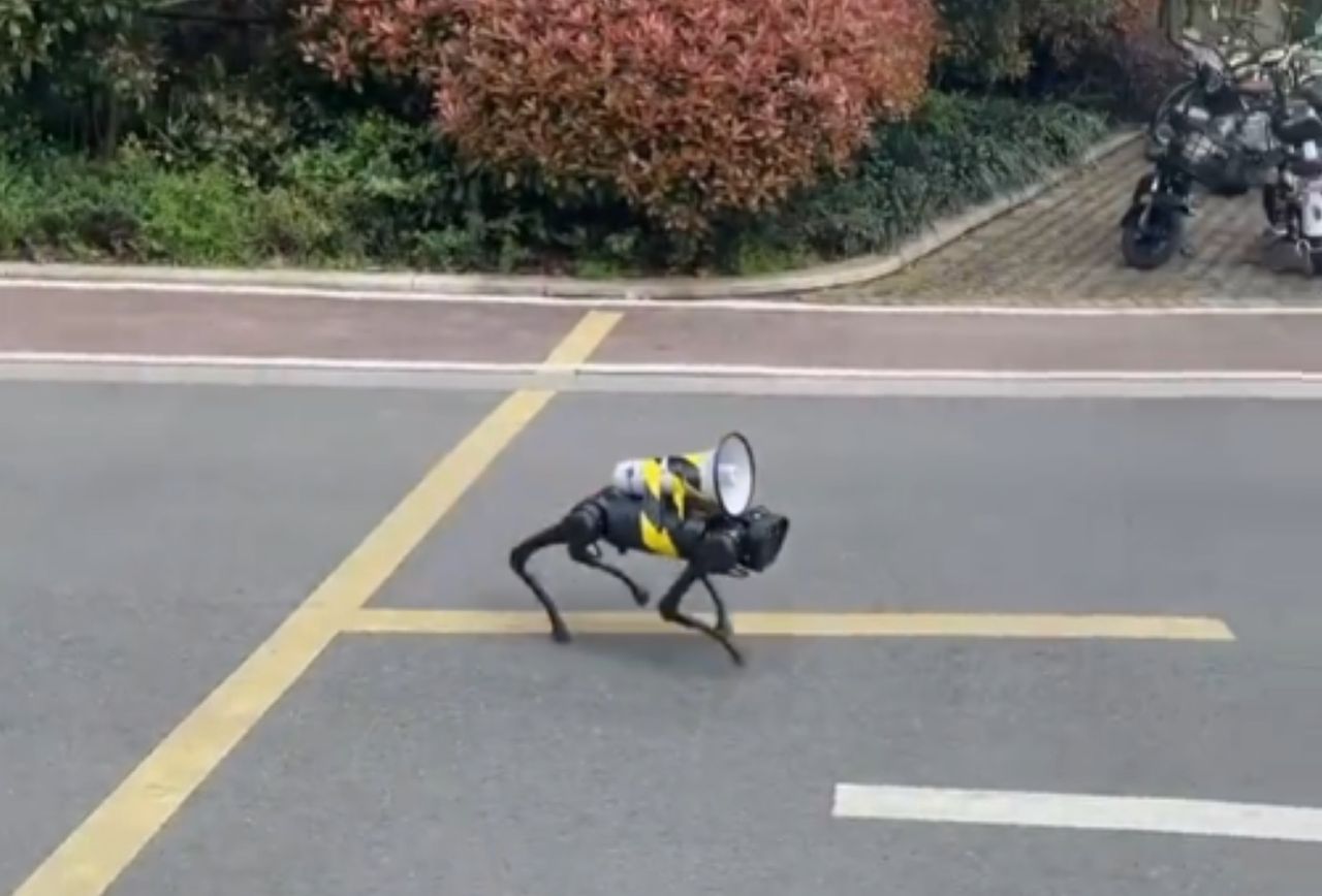 Robotyczny pies w Szanghaju
