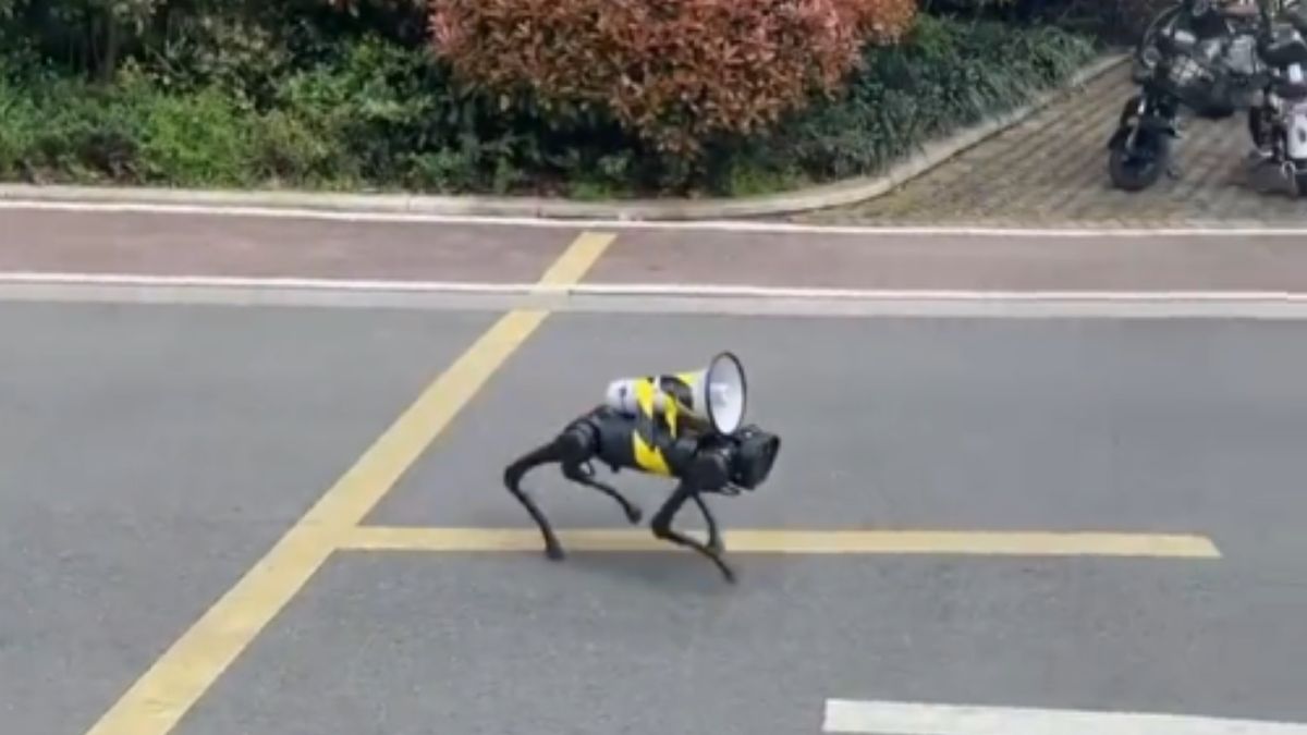 Robotyczny pies w Szanghaju