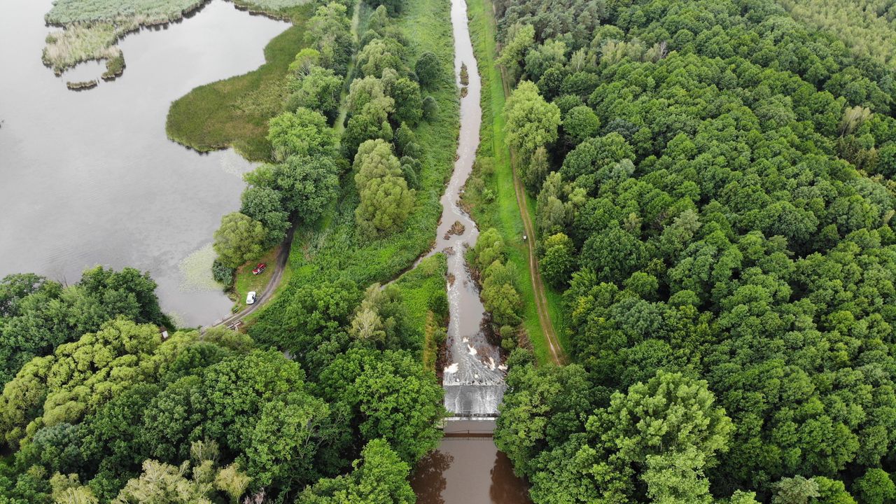 Barycz. 400 tys. zł na ratunek rzece. Sejmik podjął decyzję