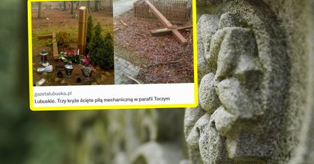 Lubuska masakra piłą mechaniczną. Padły trzy drewniane krzyże