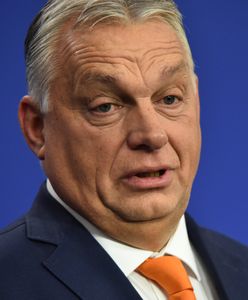 Węgry zabrały głos po decyzji Donalda Trumpa ws. Ukrainy