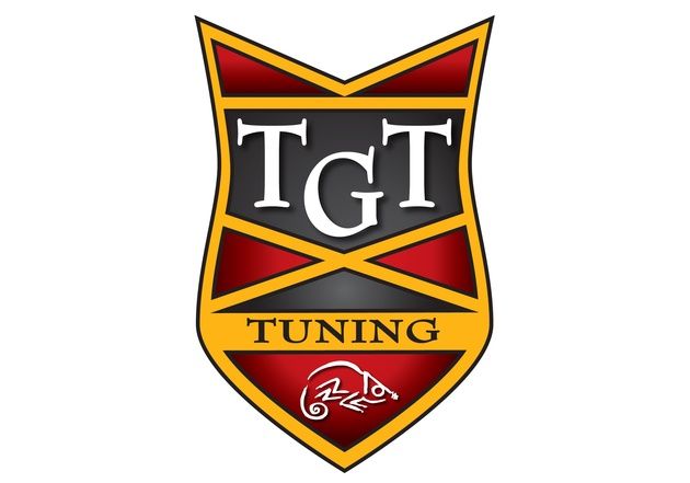 Point of View TGT Tuning Team firma logo