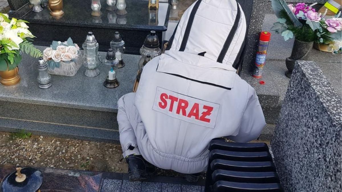 Osy zadomowiły się na cmentarzu w Chełmie.