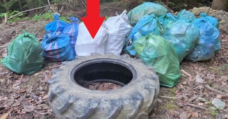 Smutny widok. Leśnicy złapali się za głowy. "Nie ma kar"