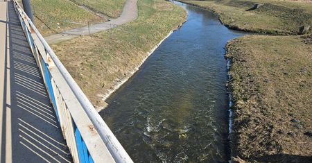 Pożegnanie Marzanny w Lublinie. Lubelscy Rodzimowiercy zapraszają na wieczorny obrzęd
