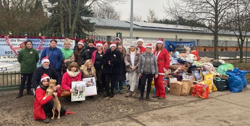 Radom: Mikołajki w schronisku dla zwierząt. Przyjechało ponad 100 osób! Były prezenty dla psów i bardzo dużo spacerów