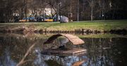 Warszawa: Miasto pomaga ptakom. Nowe tratwy już zajęte