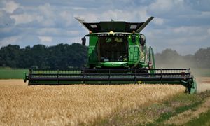 200 kombajnów na jednym polu. Żniwa u ukraińskiego giganta