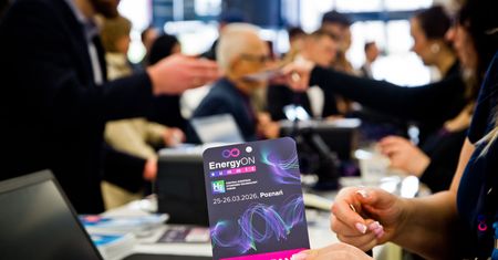 Atom, gaz i amoniak. Polska energetyka szuka stabilnego modelu