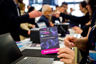 Atom, gaz i amoniak. Polska energetyka szuka stabilnego modelu