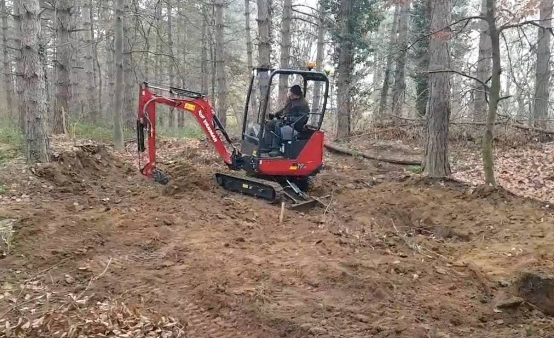 "Jaskiniowiec z Haughley" eksmitowany. Stracił swój schron