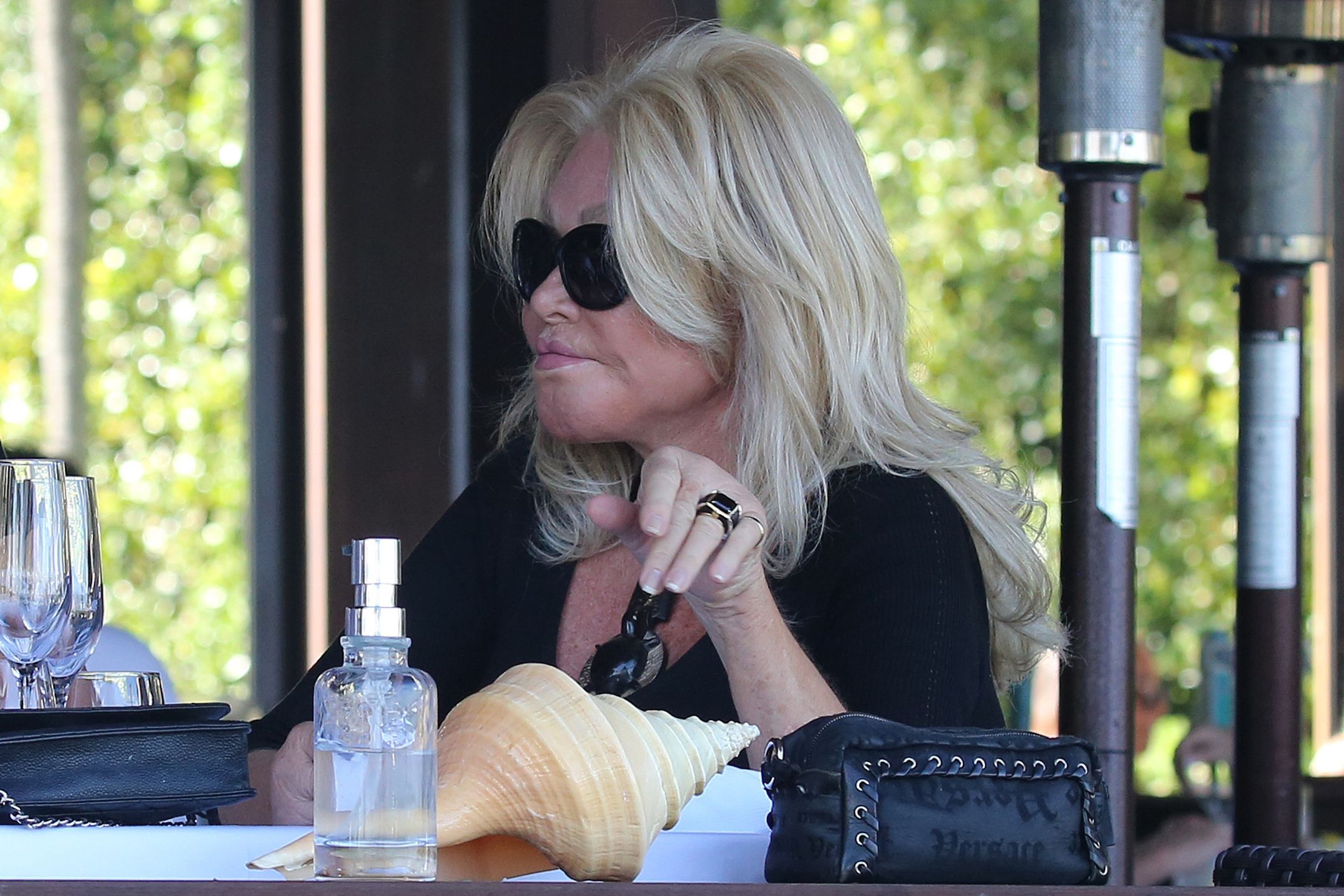 Jocelyn Wildenstein