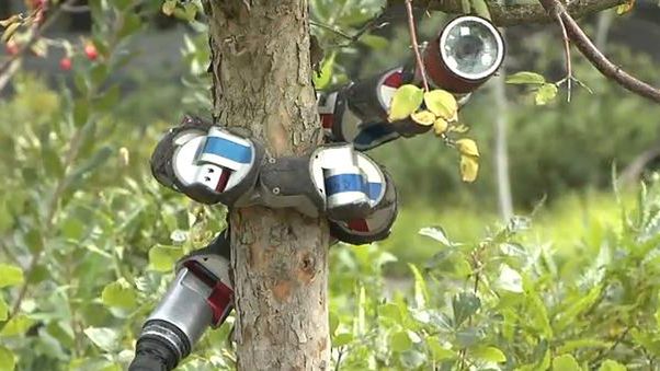 Robotyczny wąż wejdzie na każde drzewo [wideo] 1