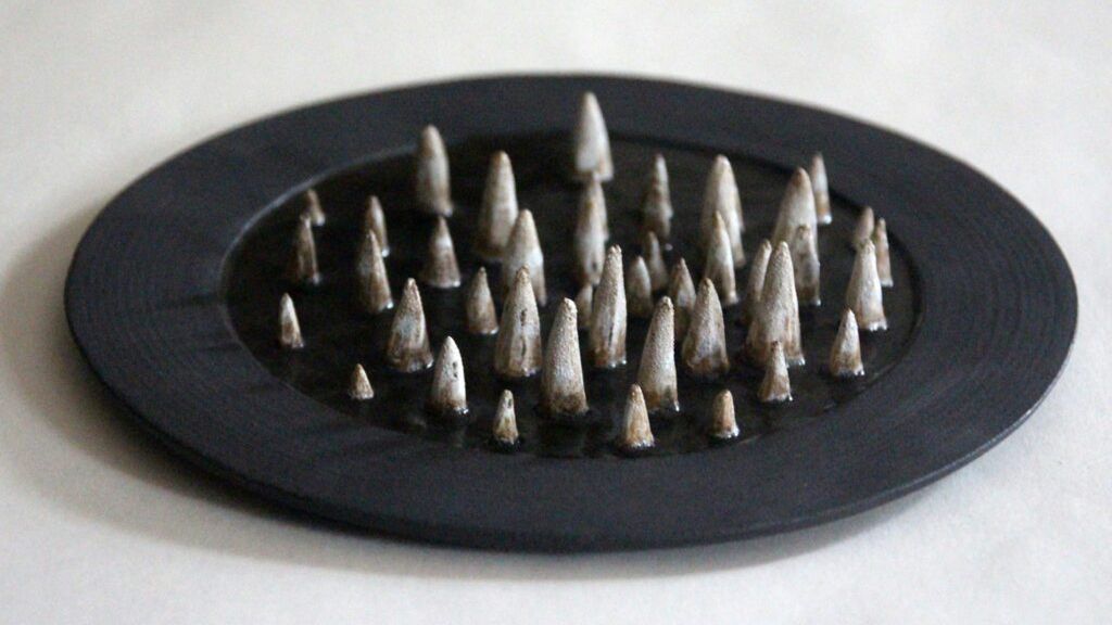 Talerz osób skrzywdzonych seksualnie przez duchownych.