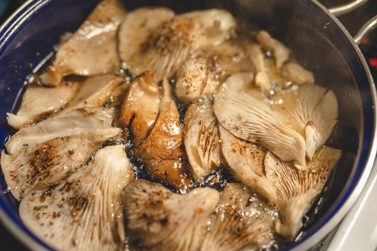 Oyster mushrooms: A treasure trove of nutrients with powerful health benefits