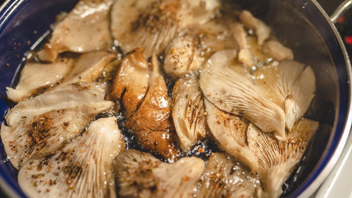 Warto jeść boczniaki