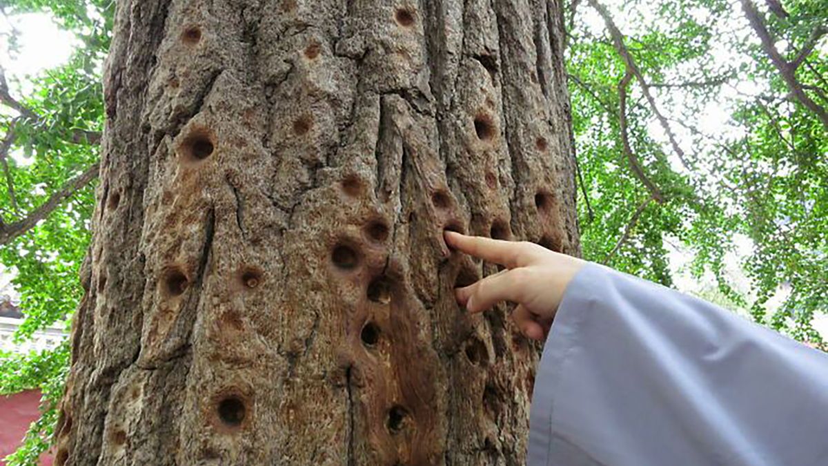 Ekstremalnie zużyte przedmioty na zdjęciach. Czas nie był dla nich łaskawy 1