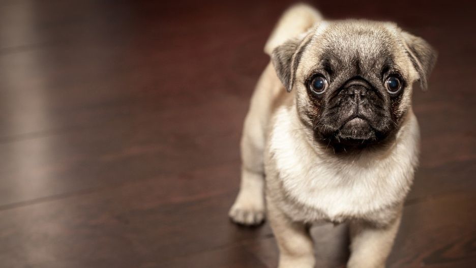 Ilustracja poglądowa