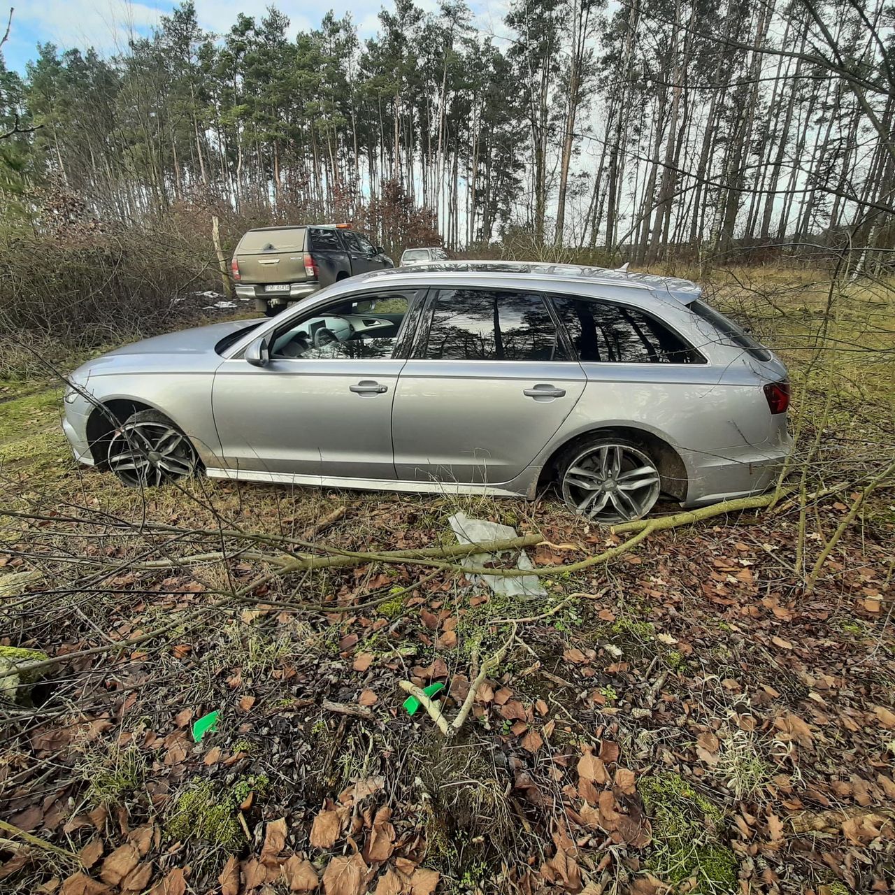 Przyznacie, że to dość niecodzienny widok.