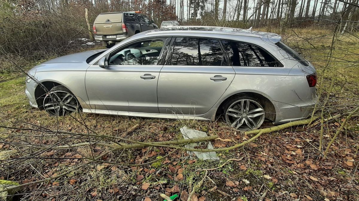 Przyznacie, że to dość niecodzienny widok.