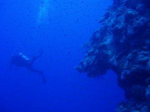 GULPER AUV - oceaniczny robot z oprogramowaniem łazików marsjańskich 1