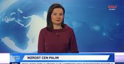 TV Trwam zmiażdżyła PiS na antenie. Nagranie znika z sieci