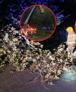 Pogodowy armagedon. Jednej nocy wichura wyrządziła ogromne szkody