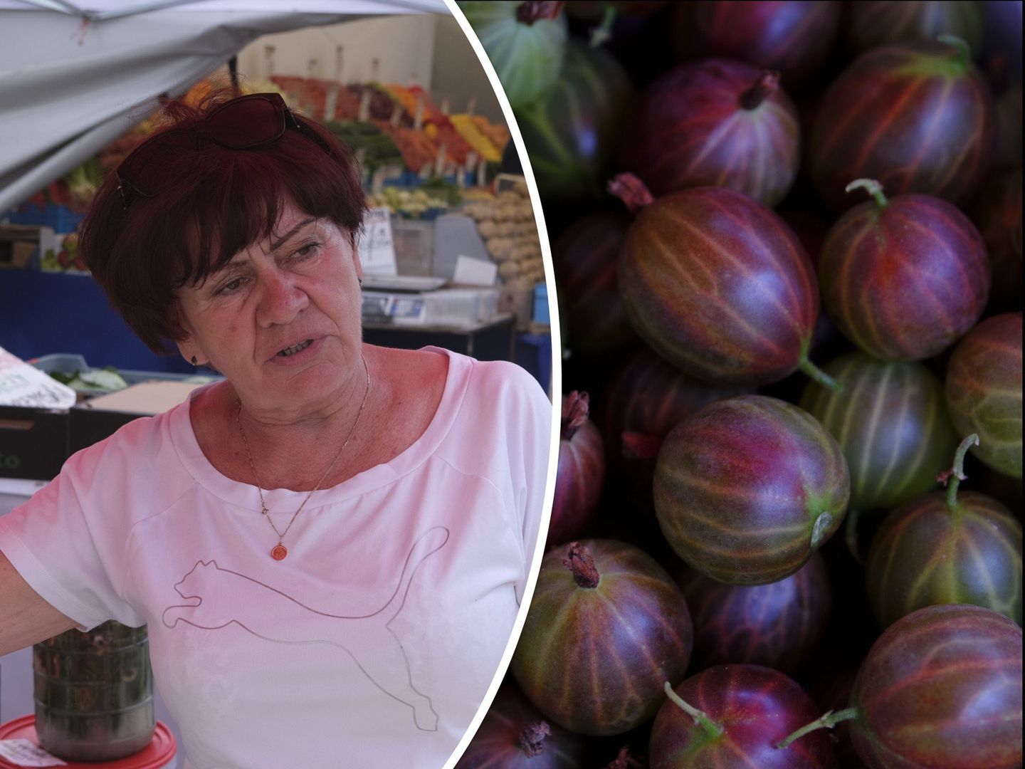 Pani Genowefa sprzedaje agrest na bazarach w Kielcach 