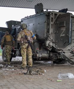 "Armia poniosła ciężkie straty". Doniesienia o Ukraińcach