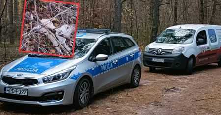 Dramat w lesie koło Puław. Dwa psy przywiązane do drzewa
