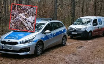 Dramat w lesie koło Puław. Dwa psy przywiązane do drzewa