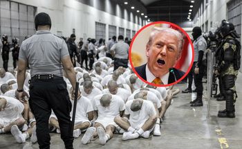 Okrucieństwo i tortury. Mocne oskarżenia wobec administracji Trumpa