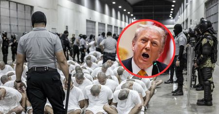Okrucieństwo i tortury. Mocne oskarżenia wobec administracji Trumpa