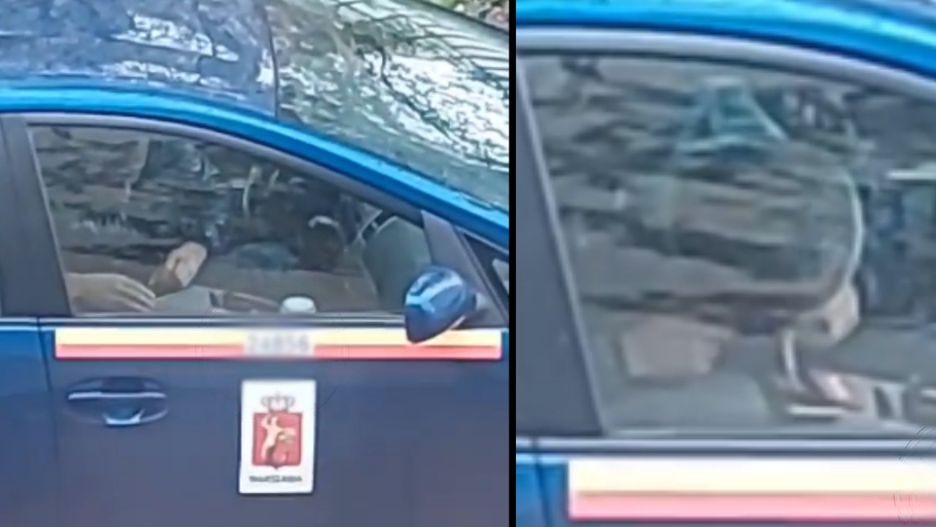 Nagranie krąży w mediach społecznościowych