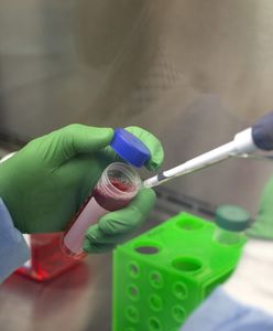 Szczepionka na COVID. Niemiecki CureVac zaczyna testy