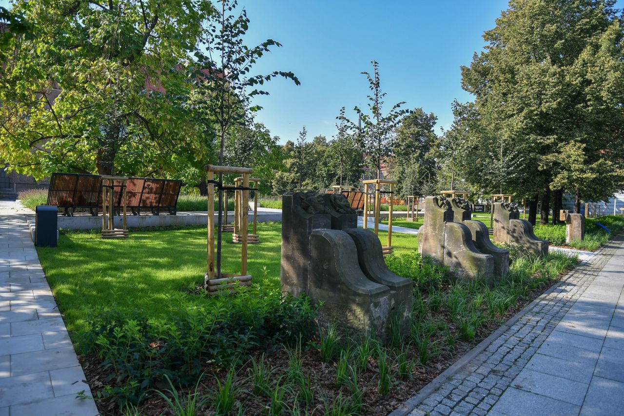 Wrocław. Zielona Kultura. Miasto łączy sztukę i ekologię