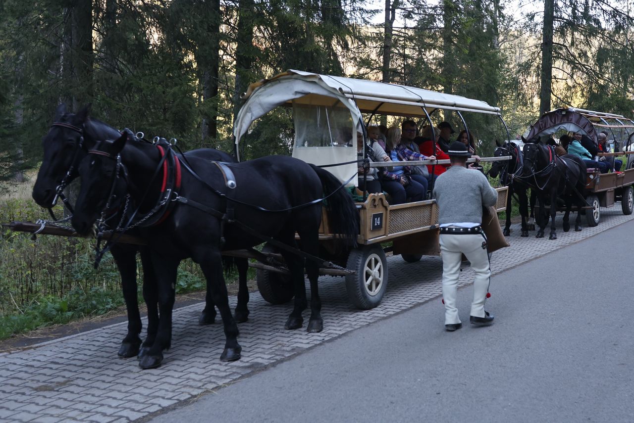 Zawarto porozumienie ws. koni na tatrzańskich szlakach