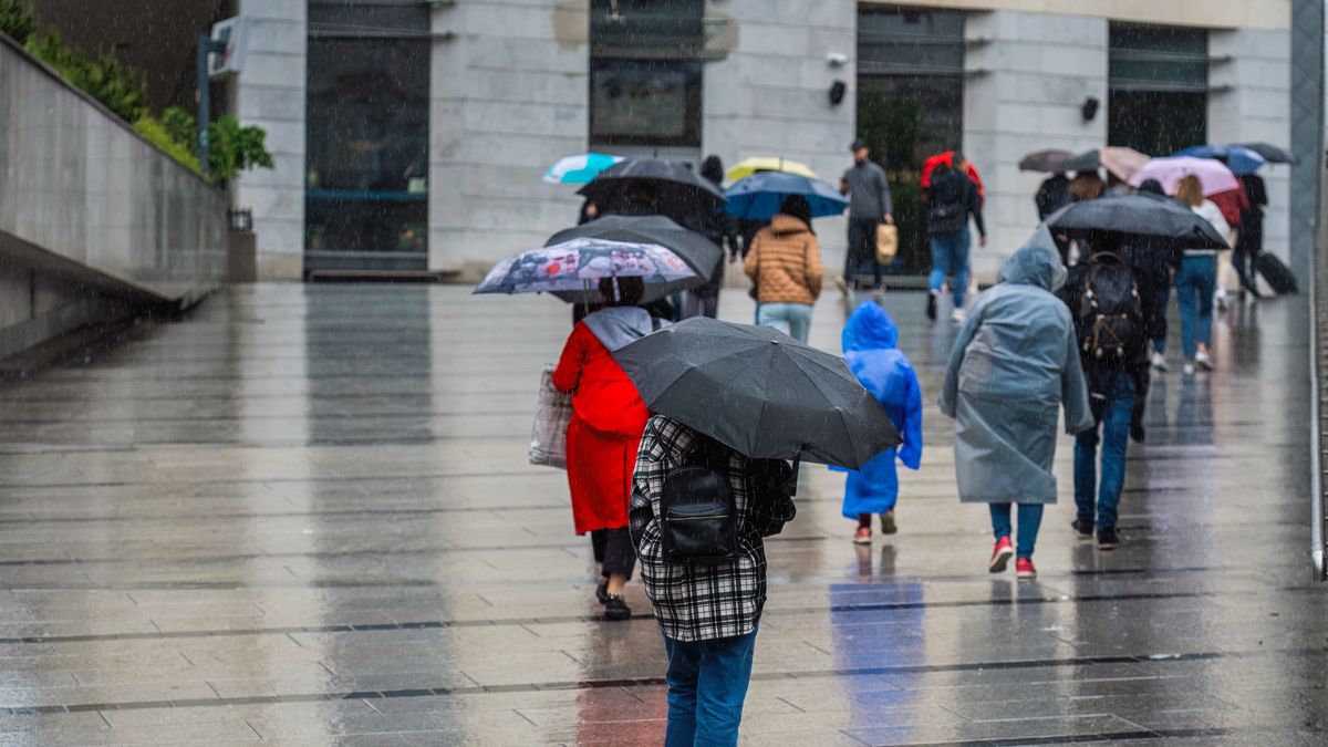 Ukraińcy podali, ile chcą zarabiać w Polsce. Przebili innych cudzoziemców