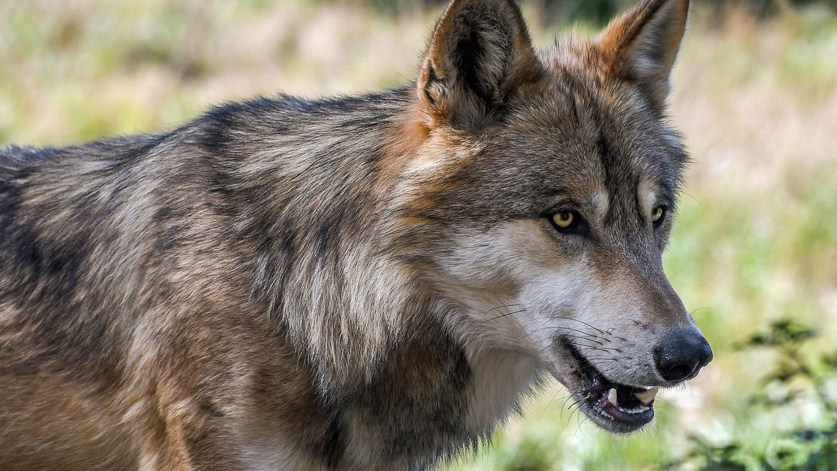 Zdjęcie ilustracyjne. 