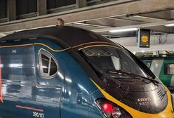 Wielka Brytania. Kotka chciała przejechać się Pendolino