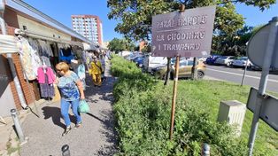 Bydgoszcz: Nie wszyscy mieszkańcy Błonia są zadowoleni z łąki przy Broniewskiego. "Meszki, mrówki i inne robactwo"